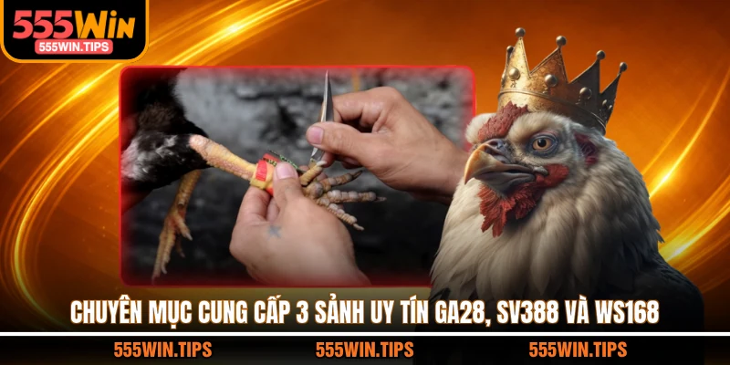 Chuyên mục cung cấp 3 sảnh uy tín GA28, SV388 và WS168