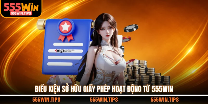 Điều kiện sở hữu giấy phép hoạt động từ 555WIN