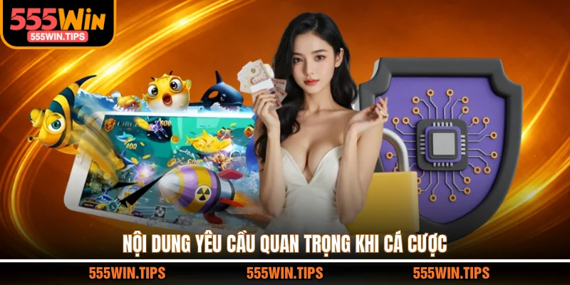 Nội dung yêu cầu quan trọng khi cá cược