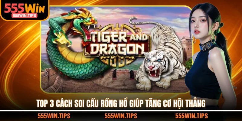 Top 3 cách soi cầu Rồng Hổ giúp tăng cơ hội thắng